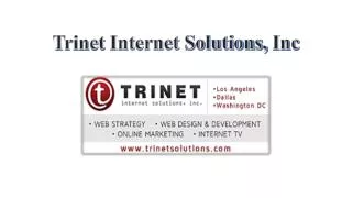 Why is Trinet Internet solutions famous web design company?