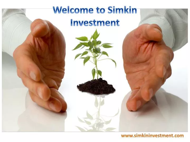 welcome to simkin investment