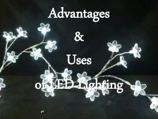 Advantages & Uses of LED Lighting