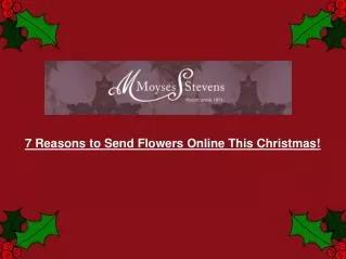 7 Reasons to Send Flowers Online This Christmas!