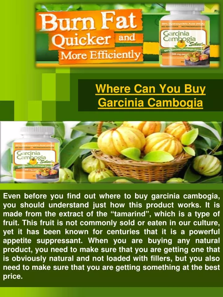 where can you buy garcinia cambogia