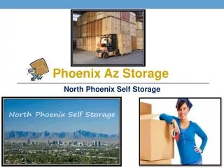 North phoenix storage