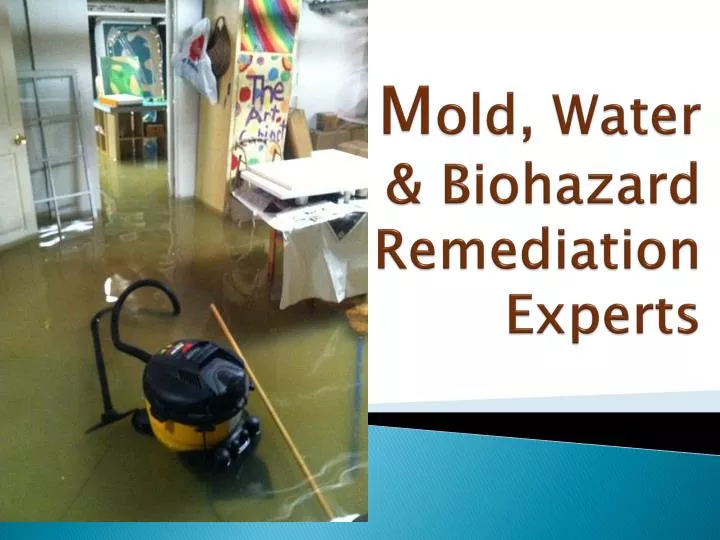 m old water biohazard remediation experts