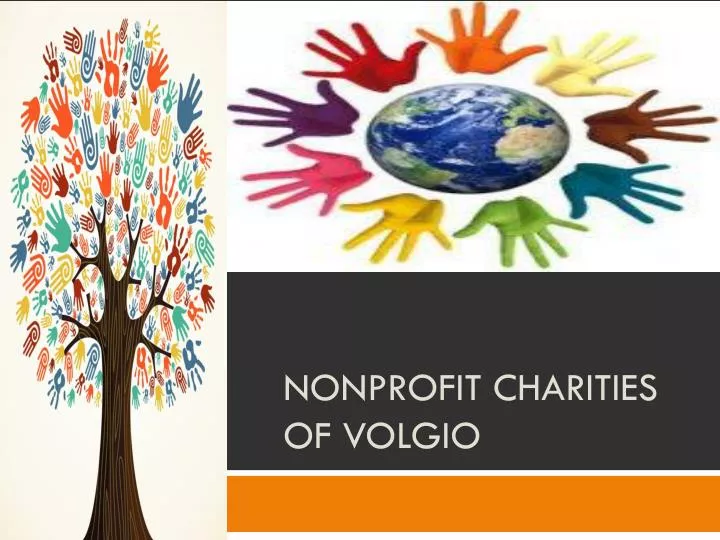 nonprofit charities of volgio