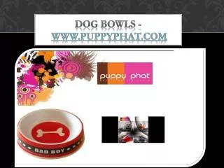 Dog Bowls - www.puppyphat.com