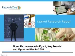 Non-Life Insurance in Egypt, Key Trends and Opportunities