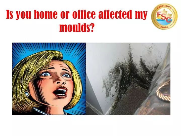 is you home or office affected my moulds