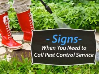 Pest Control Specialist in West Palm Beach – When to Call?