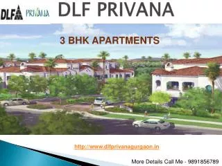 DLF Developer || 9891856789 in Gurgaon: DLF Privana