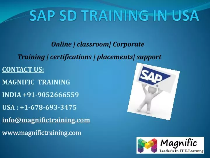 sap sd training in usa