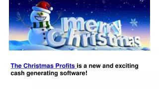 Christmas Profits Software