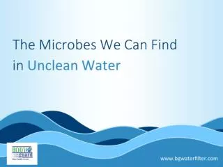 The Microbes We Can Find in Unclean Water