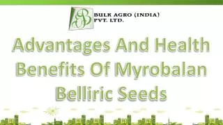 Advantages And Health Benefits Of Myrobalan Belliric Seeds