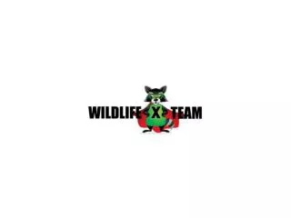 Professional Nuisance Wildlife Control In Fort Worth