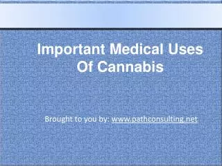 Important Medical Uses Of Cannabis
