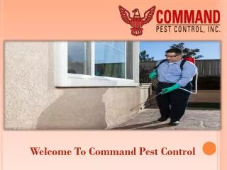 Welcome to Command Pest Control