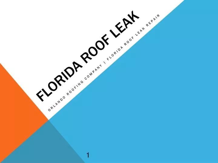 florida roof leak