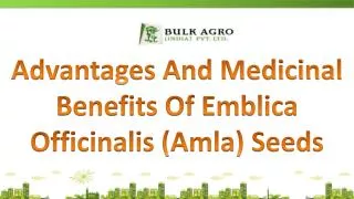 Advantages And Health Benefits Of Emblica Officinalis (Amla)
