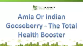 Amla Or Indian Gooseberry - The Total Health Booster