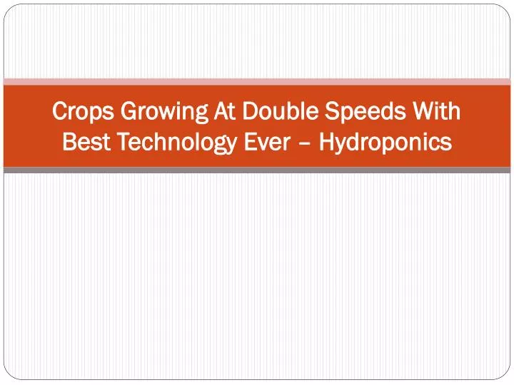 crops growing at double speeds with best technology ever hydroponics