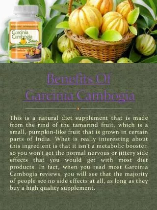 How Does Garcinia Cambogia Work