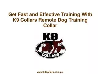 Get Fast and Effective Training With K9 Collars