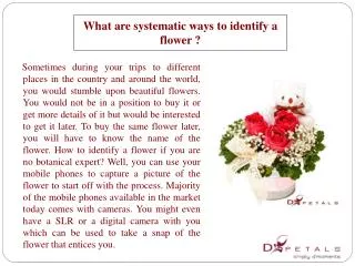 What are systematic ways to identify a flower?