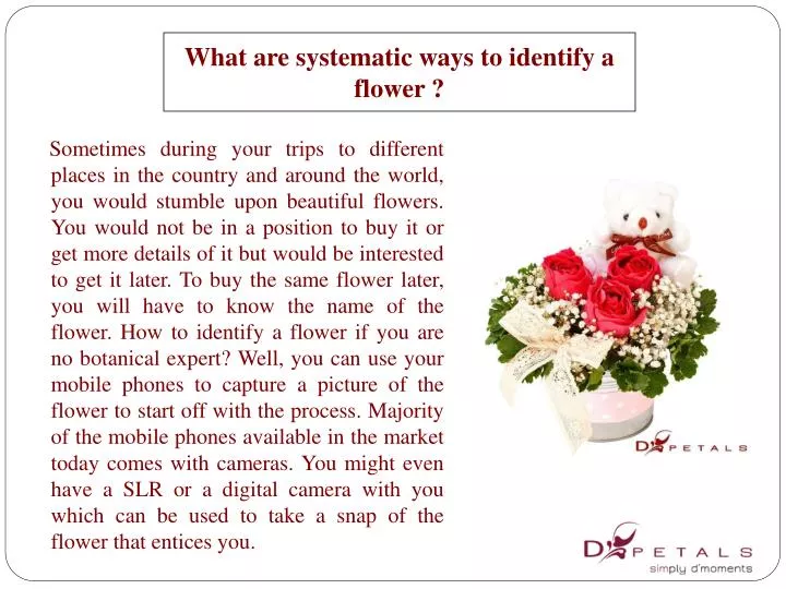what are systematic ways to identify a flower