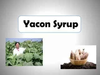 The Truth behind Yacon Syrup