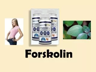 Overview of Forskolin