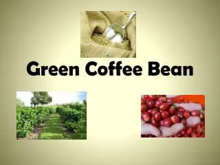 Green Coffee Bean Overview