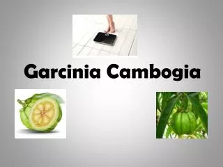 Garcinia Cambogia Overview