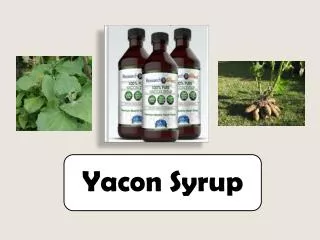Yacon Syrup Overview
