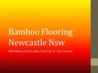 Bamboo Flooring Newcastle Nsw Affordable and Durable Floorin