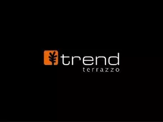 Terrazzo Floor Installation & Repair - Trend USA