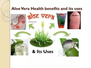 Aloe Vera and its uses