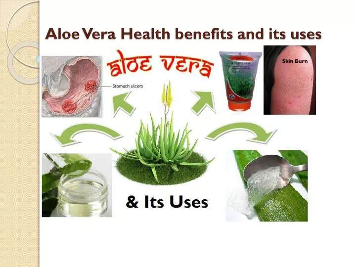aloe vera health benefits and its uses