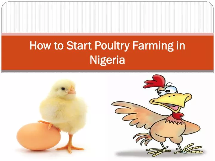 how to start poultry farming in nigeria
