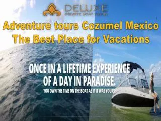 Adventure tours Cozumel Mexico - The Best Place for Vacation