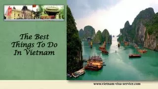 The best things to do in Vietnam