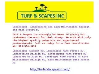 Landscaper, Landscaping and Lawn Maintenance Raleigh and Wak