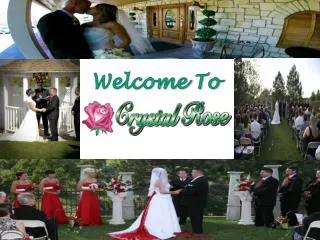 Welcome To Crystal Rose