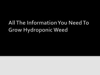 All The Information You Need To Grow Hydroponic Weed