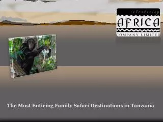 The Most Enticing Family Safari Destinations in Tanzania