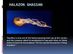 Ghassan Halazon - slide 1