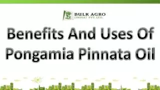 Benefits And Uses Of Pongamia Pinnata Oil