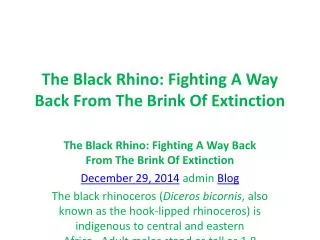 The Black Rhino: Fighting A Way Back From The Brink Of Extin