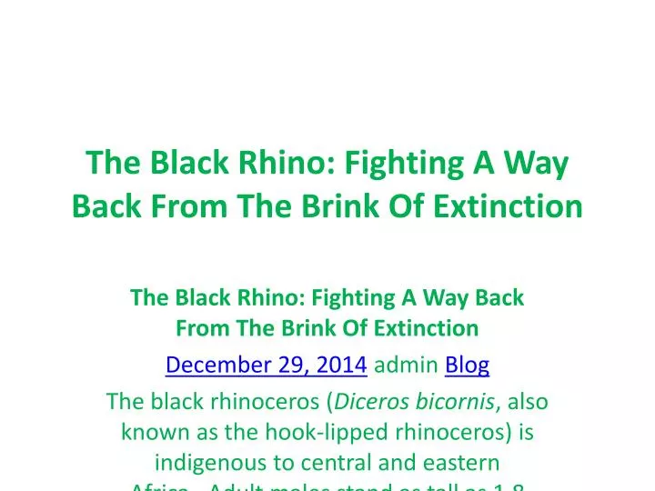 the black rhino fighting a way back from the brink of extinction