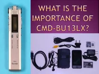 What is the Importance of CMD-BU13LX?