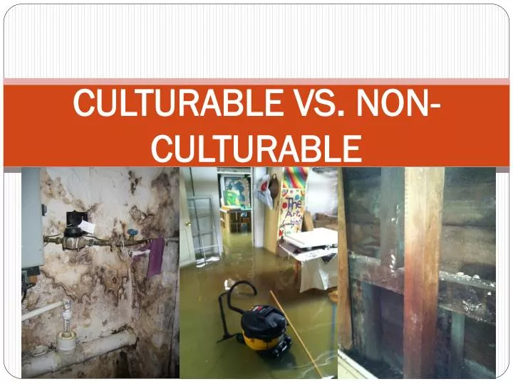 culturable vs non culturable